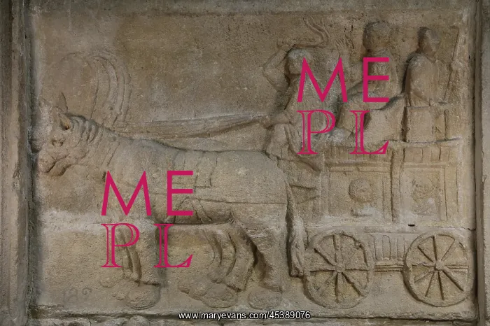 : Roman relief, Musee Lapidaire, Avignon, Provence, France : Roman relief, Musee Lapidaire, Avignon, Provence, France