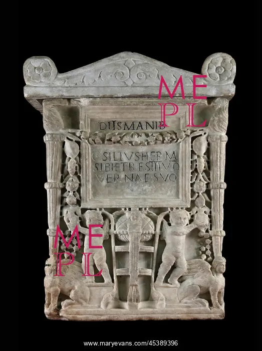 : Roman relief, Musee Lapidaire, Avignon, Provence, France : Roman relief, Musee Lapidaire, Avignon, Provence, France