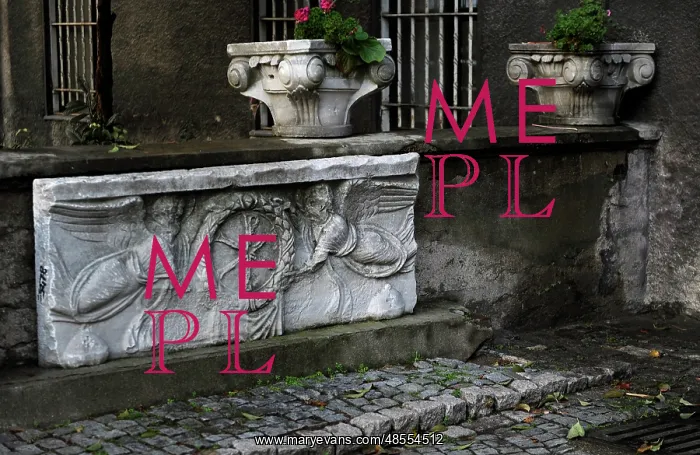  : Roman Sarcophagus