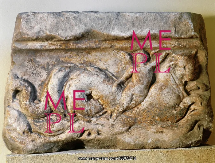 : Roman Sarcophagus. Cover. Marble. Marine motifs. Catalonia ? : Roman Sarcophagus. Cover. Marble. Marine motifs. Catalonia ?