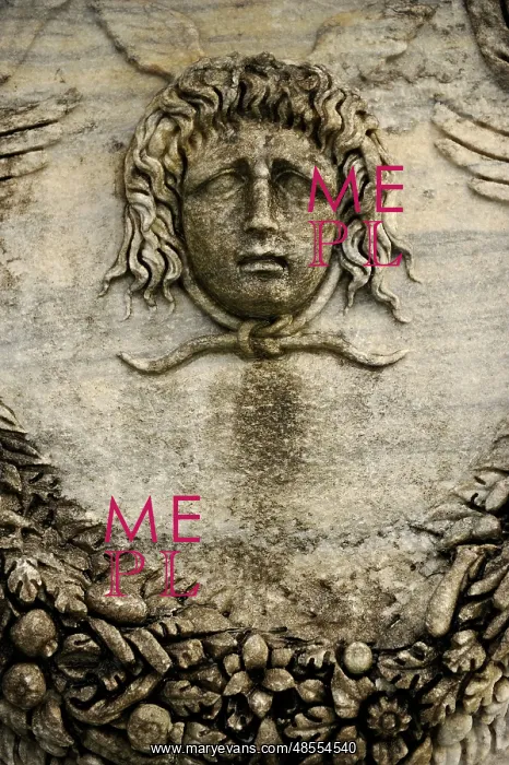  : Roman Sarcophagus. Medusa
