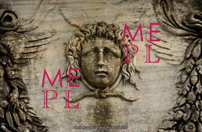  : Roman Sarcophagus. Medusa