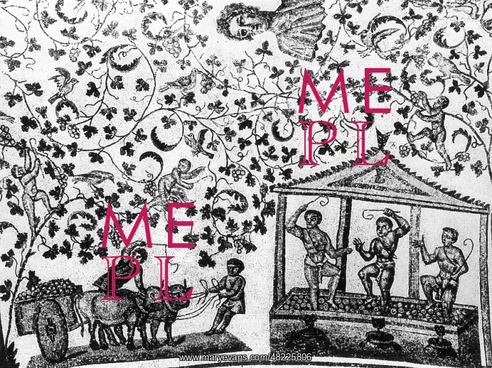 : Roman slaves during the grape harvest : Roman slaves during the grape harvest