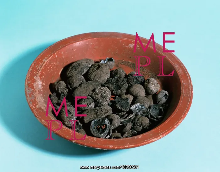 : Roman. Spain. Empuries. Bowl of fruit. Nuts : Roman. Spain. Empuries. Bowl of fruit. Nuts
