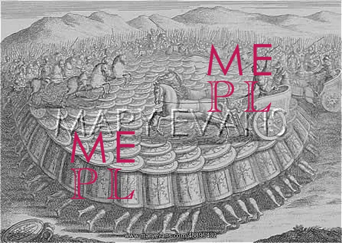 : ROMAN TESTUDO : ROMAN TESTUDO