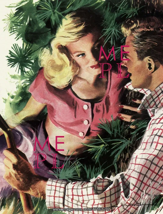 : Romance in the Pines : Romance in the Pines