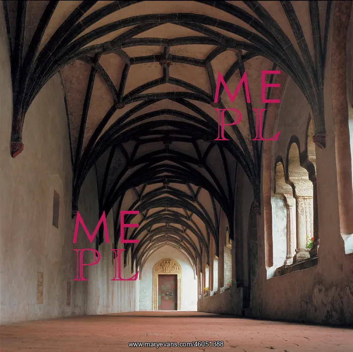 : Romanesque cloister with late gothic vault : Romanesque cloister with late gothic vault