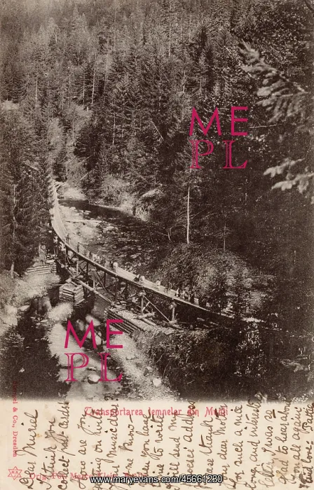 : Romania - Transporting timber : Romania - Transporting timber