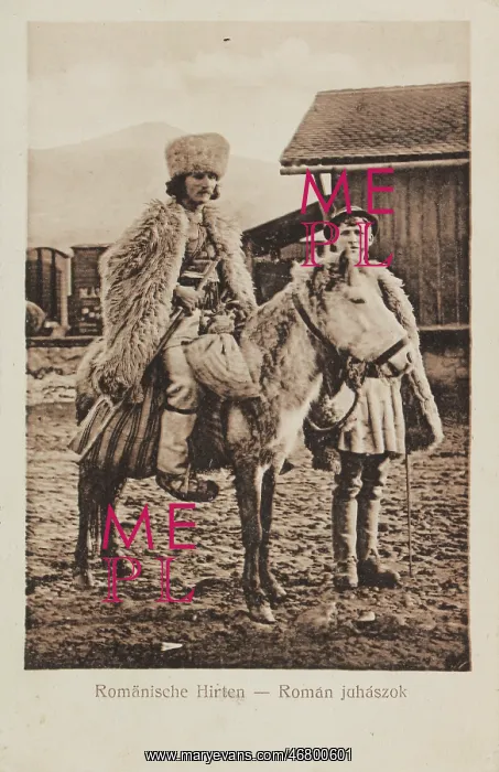 : Romanian shepherds from Transylvania : Romanian shepherds from Transylvania