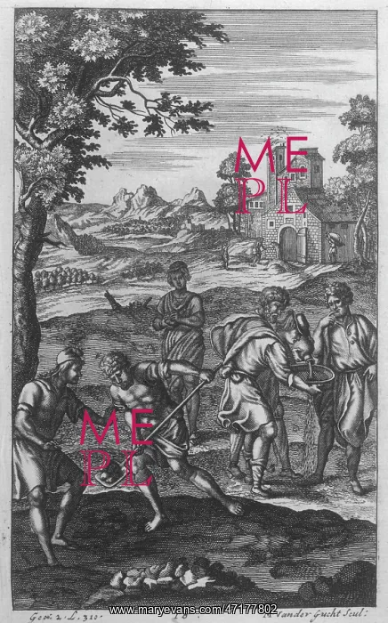 : ROMANS FARMING : ROMANS FARMING