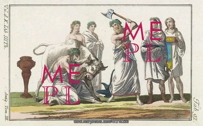 : Romans Sacrifice Bull : Romans Sacrifice Bull