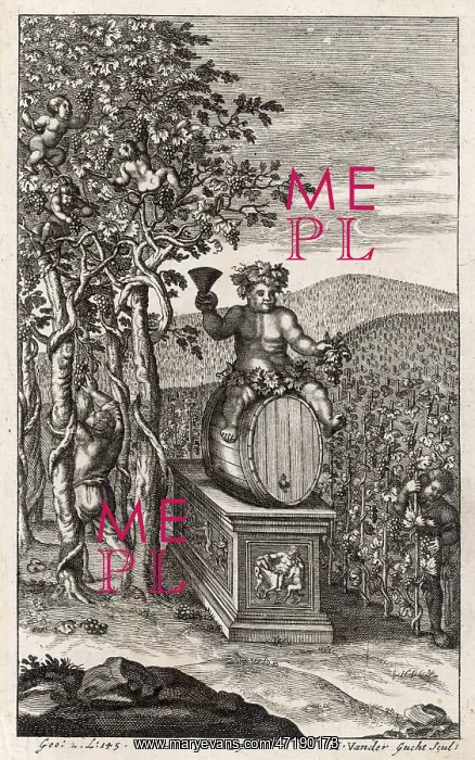 : ROMANS TENDING WINES : ROMANS TENDING WINES