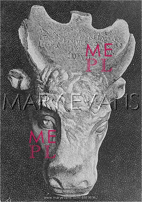 : ROME, BULL'S HEAD : ROME, BULL'S HEAD