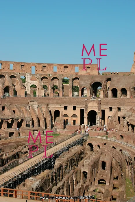 : Rome. The Colosseum. Italy : Rome. The Colosseum. Italy