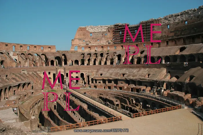 : Rome. The Colosseum. Italy : Rome. The Colosseum. Italy