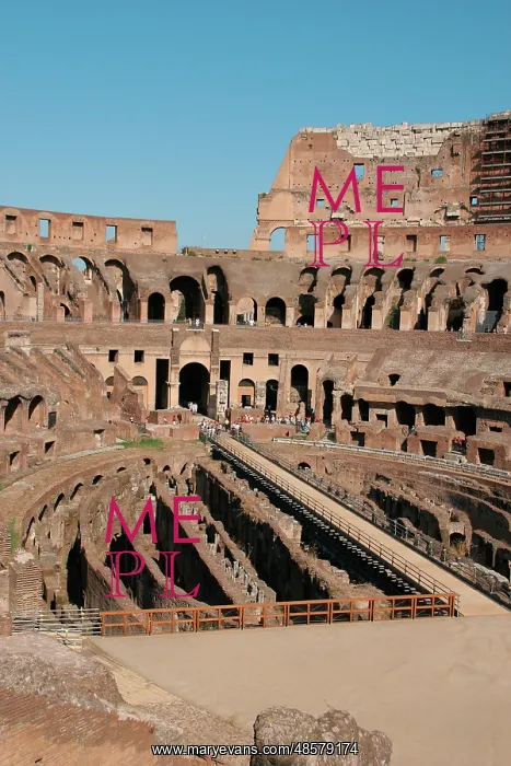 : Rome. The Colosseum. Italy : Rome. The Colosseum. Italy