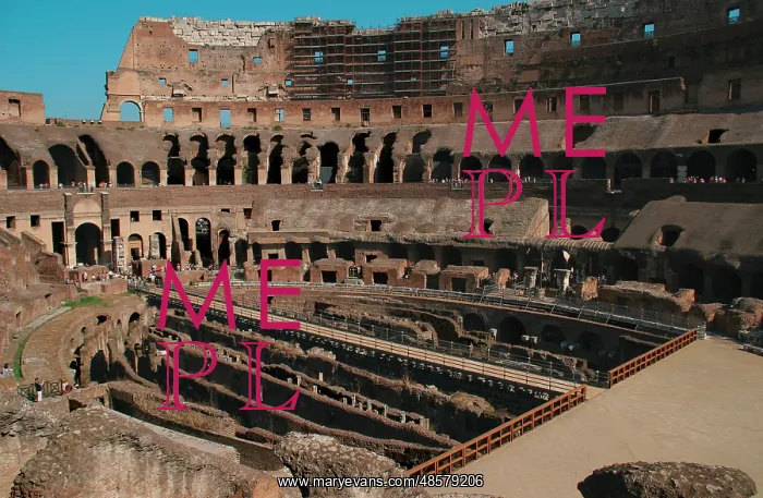 : Rome. The Colosseum. Italy : Rome. The Colosseum. Italy