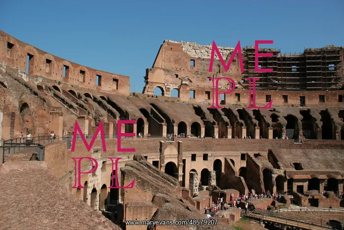 : Rome. The Colosseum. Italy : Rome. The Colosseum. Italy