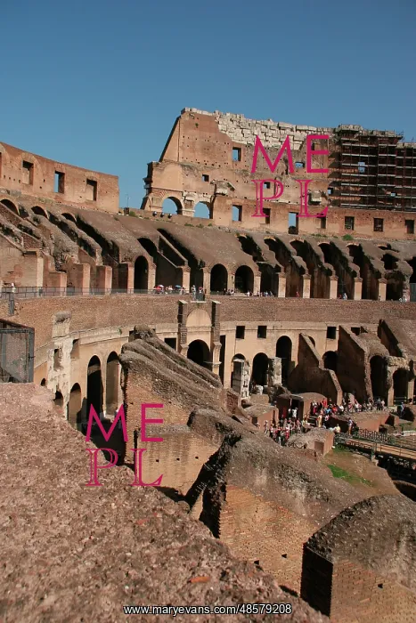 : Rome. The Colosseum. Italy : Rome. The Colosseum. Italy