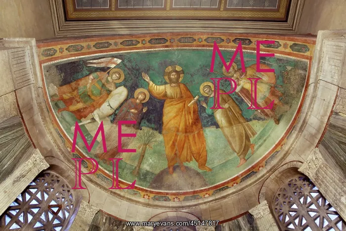 : Rome, Italy : Rome, Italy