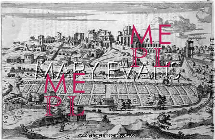  : ROME / PALATINE HILL 1665