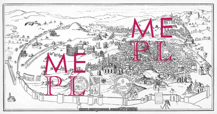 : ROME / PANORAMIC VIEW : ROME / PANORAMIC VIEW