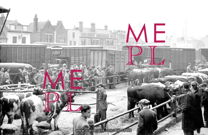  : Romford, Cattle Market c1950