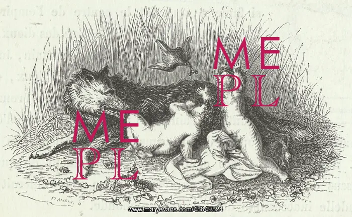 : ROMULUS & REMUS : ROMULUS & REMUS