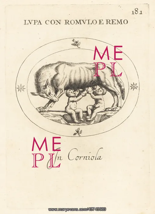  : Romulus and Remus suckled by a wolf