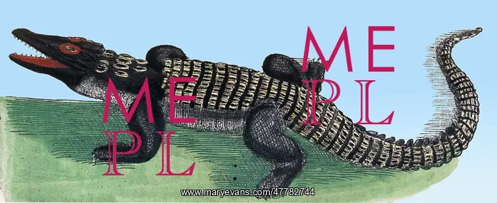 : Rondelet, Crocodile, 16th Century : Rondelet, Crocodile, 16th Century