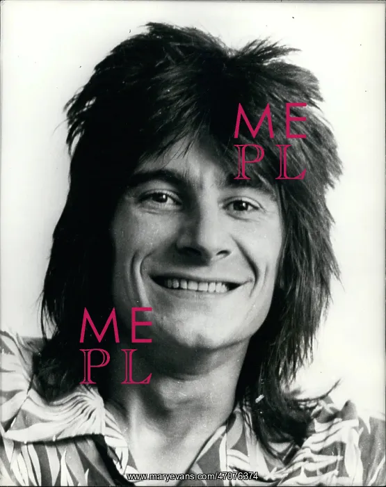 : Ronnie Wood, pop musician with various groups : Ronnie Wood, pop musician with various groups
