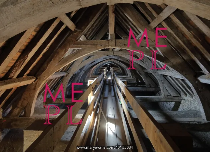 : Roof framework, Cathedral Saint-Samson, Dol-de-Bretagne : Roof framework, Cathedral Saint-Samson, Dol-de-Bretagne
