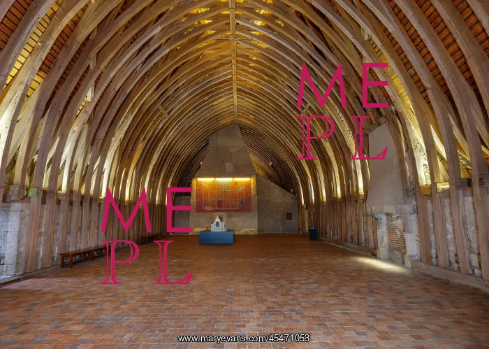 : Roof, Keep, Chateau de Sully-sur-Loire : Roof, Keep, Chateau de Sully-sur-Loire