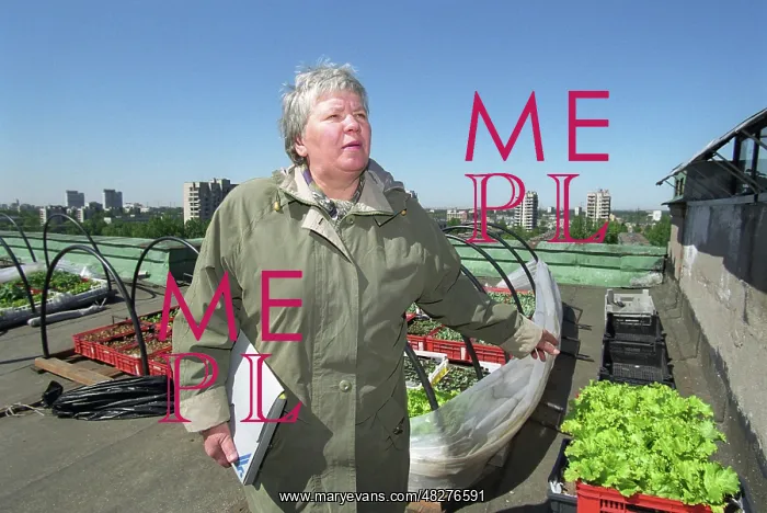 : Roof Kitchen Garden program, 2002 : Roof Kitchen Garden program, 2002
