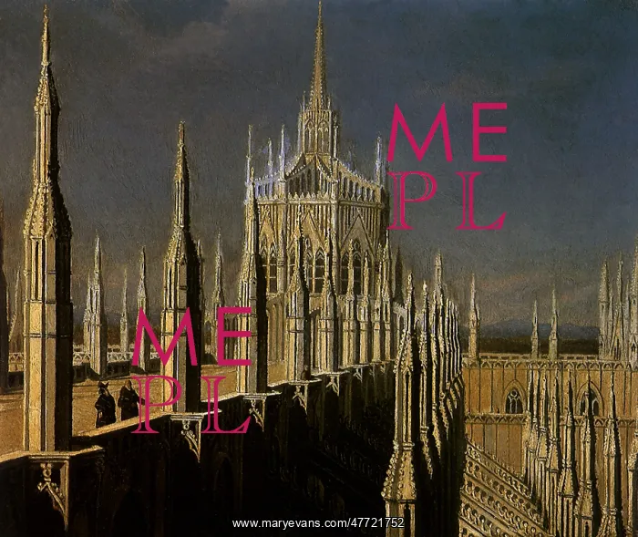  : The Roof of Milan Cathedral