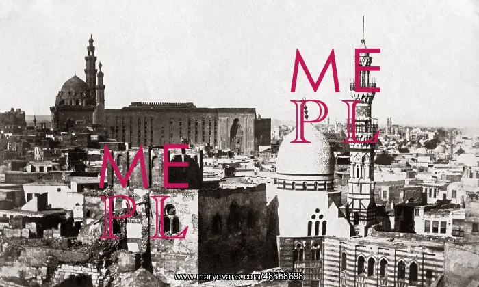  : Rooftop view in Cairo, Egypt, circa 1870s