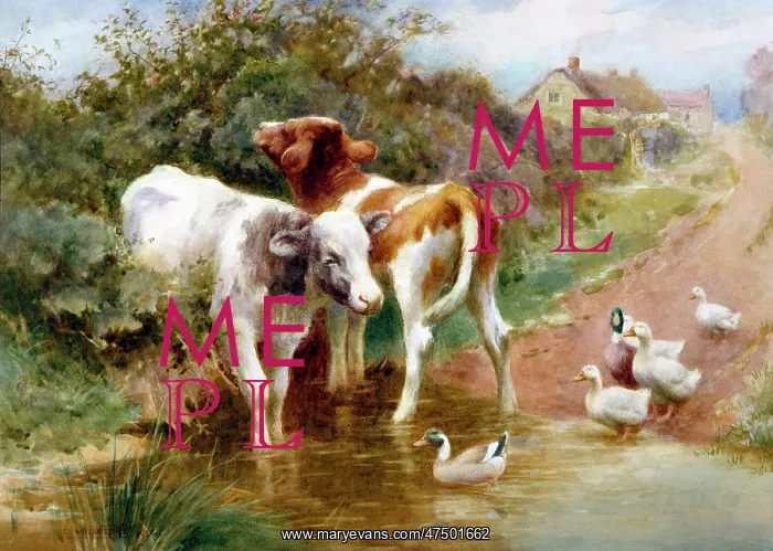 : Room for All ' calves and ducks : Room for All ' calves and ducks