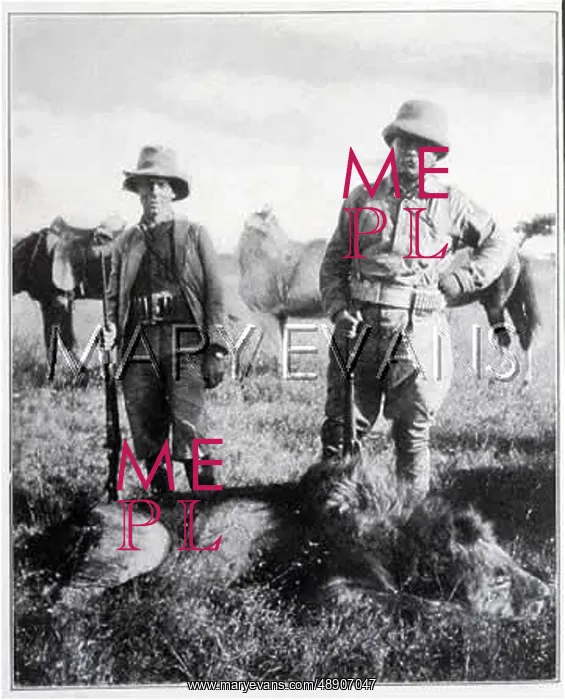 : ROOSEVELT AND LION : ROOSEVELT AND LION