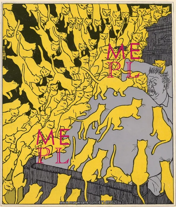: ROOSEVELT'S NIGHTMARE : ROOSEVELT'S NIGHTMARE