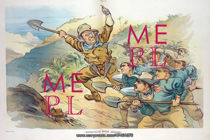 : Roosevelt's rough diggers : Roosevelt's rough diggers