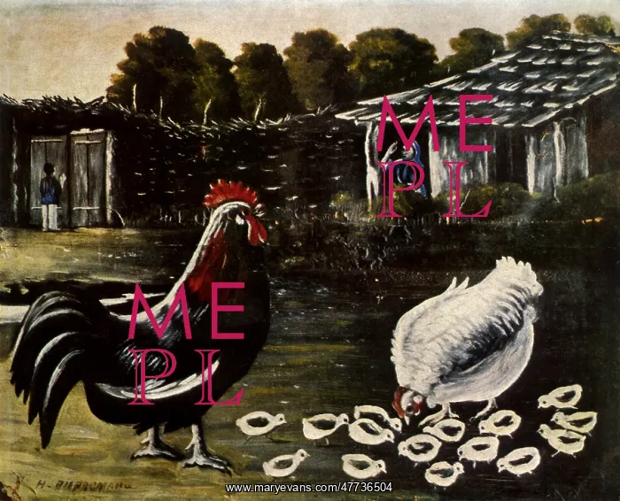  : Rooster and Brooder with Chicks