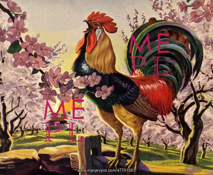  : Rooster Crowing