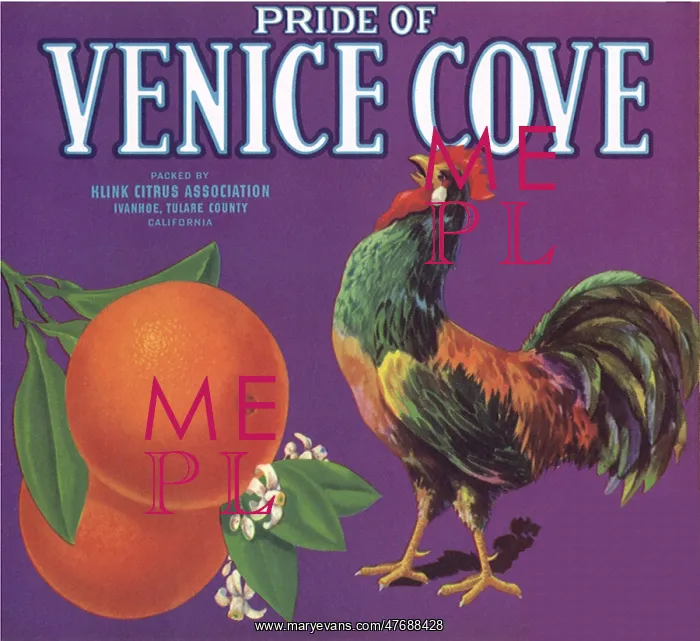  : Rooster Fruit Label