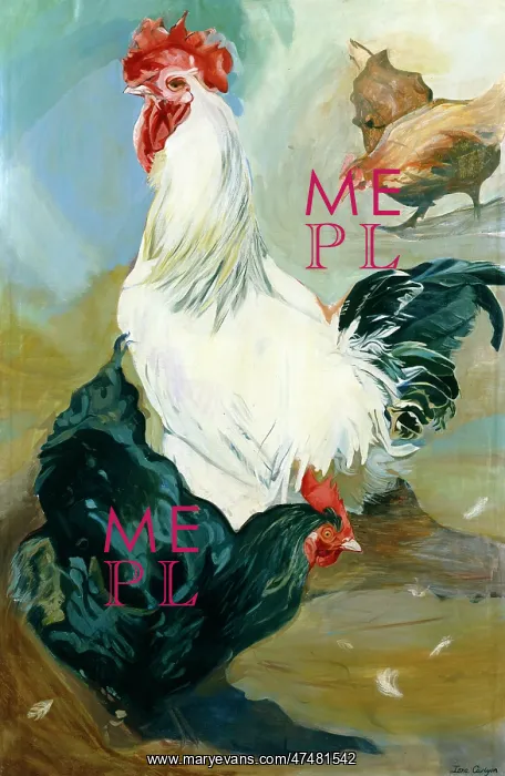 : Rooster and Hens : Rooster and Hens