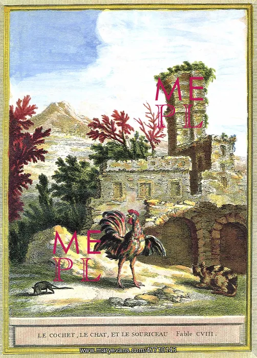  : Rooster, Rat and a Cat