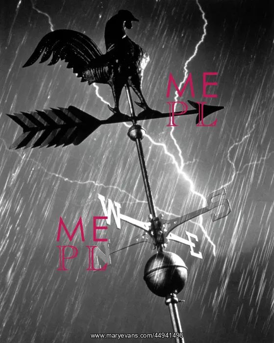  : Rooster Weathervane In Rain And