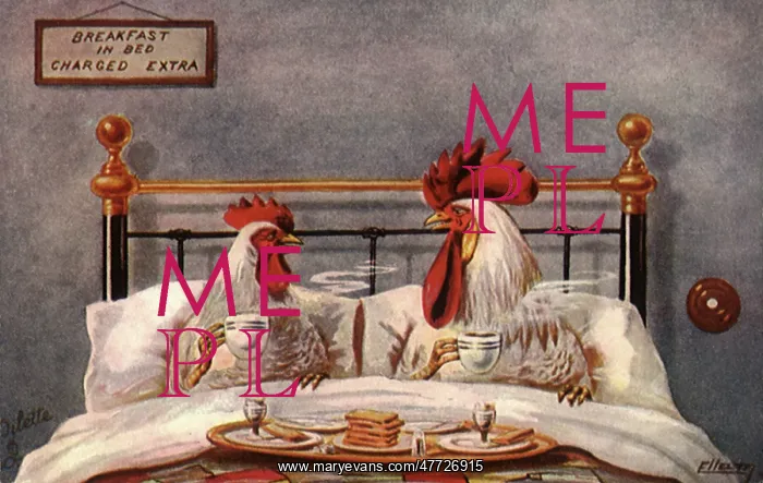  : Roosters having Breakfast in Bed