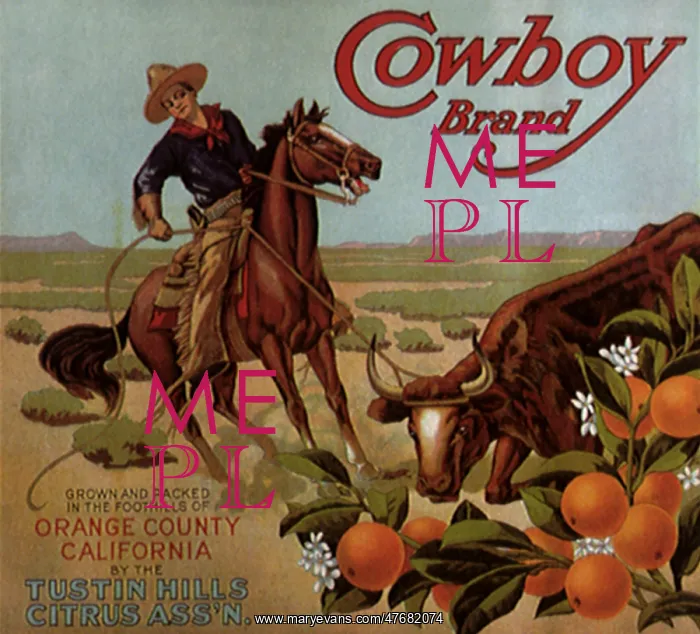  : Roped Steer and Oranges