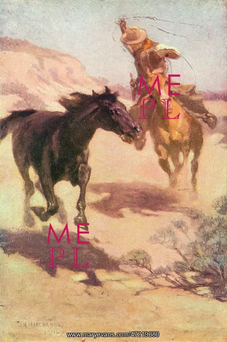  : Roping a Wild Horse