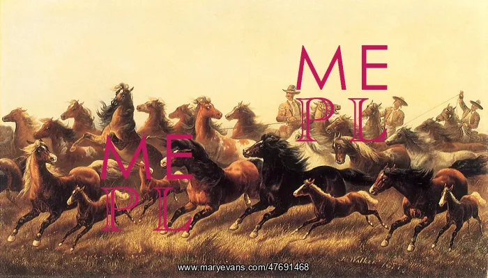 : Roping Wild Horses